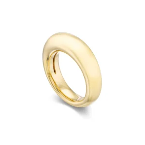 Tiny Gods Gold Narrow Dome Ring