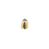 Bibi Van Der Velden Mini Gold Fly Wing Scarab Stud