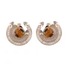 Ananya Tiger's Eye Chakra Round Earrings